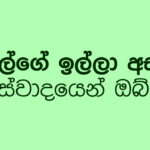 බැසිල්ගේ ඉල්ලා අස්වීම ආස්වාදයෙන් ඔබ්බට