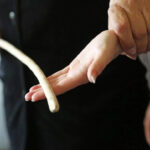 ආණ්ඩුව පෙර ආණ්ඩුවේ… දැලි මුහුණේ ගා ගනිමින් සිටී… සිරිල් එඬේරමුල්ල