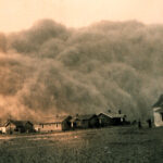 පශ්චාත් දිට්වා ප්රතිෂ්ඨාපනය රංවල ක්රමයටද? තිසරණි ගුණසේකර