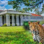 සරසවි සිසුන් කොටින්ගෙන් පරෙස්සම් විය යුතුයි