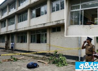 රාජකීය විද්යාලයේ සිසුවෙක් ගොඩනැගිල්ලෙන් වැටීම ගැන පොලිස් පරීක්ෂණයක්