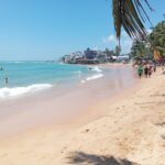 රෝස් පාන් කන.. ගල් ගහන.. කැස්බෑවන්ට පෙඳ කවන.. හික්කඩුවේ සංචාරකයෝ