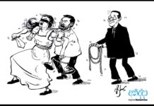ANIDDA CARTOON